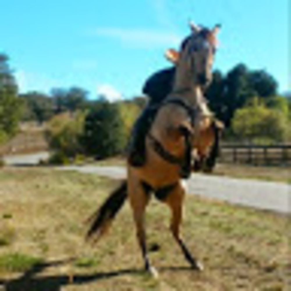 Meet your Posher, Heriberto